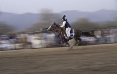 Tent Pegging